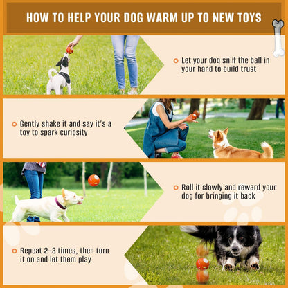 Shiropaws ™ Interactive Dog Ball