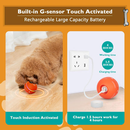 Shiropaws ™ Interactive Dog Ball